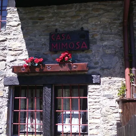 Casa Mimosa *